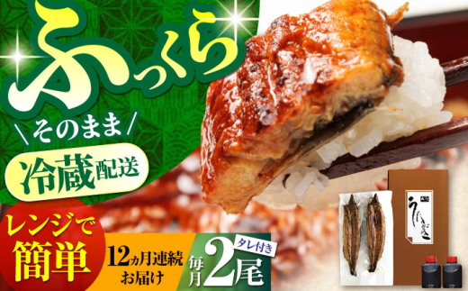 【12回定期便】高知県産 朝焼きうなぎ蒲焼 2尾セット 【株式会社 四国健商】 [ATAF088] うなぎ ウナギ 鰻 炭火焼 手焼き ひつまぶし 土用の丑の日