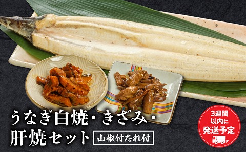 うなぎ白焼・きざみ・肝焼きセット_M069-020