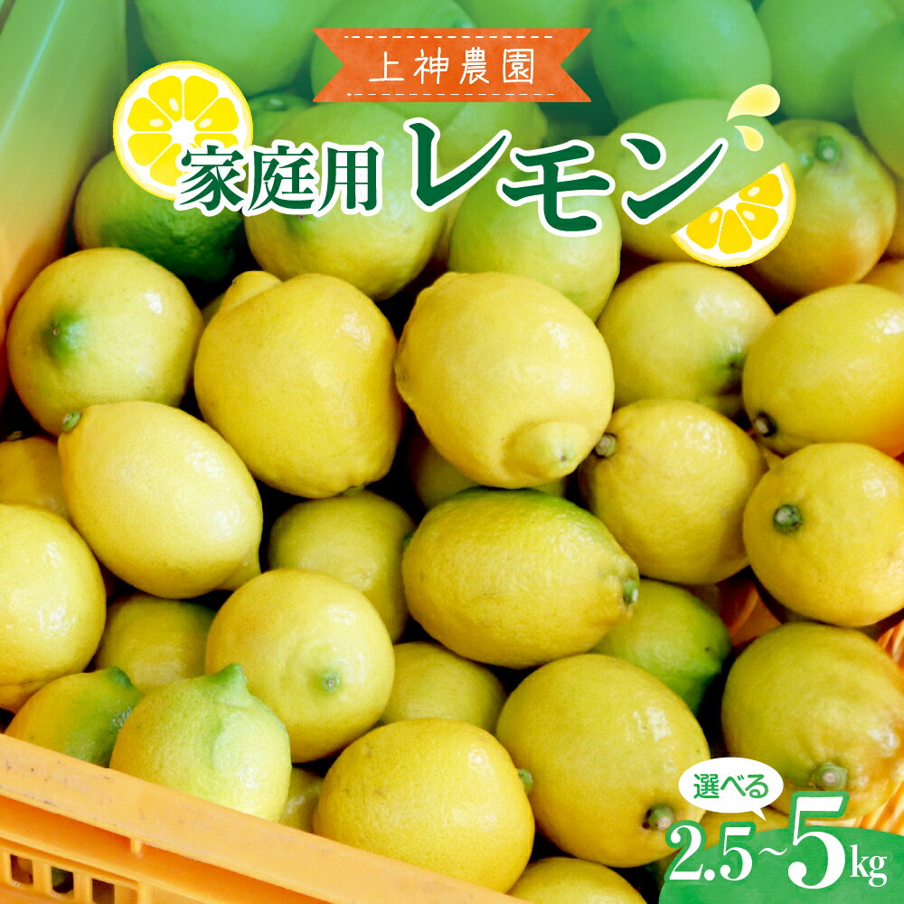 【ふるさと納税】家庭用 広島産 レモン 約2.5kg / 約5kg / 内容量が選べる レモン れもん 檸檬 柑橘 果物 フルーツ レモネード お取り寄せ ジューシー 栽培期間中低農薬 防腐剤不使用 ワックス不使用 広島県 呉市 酸味 爽やか 味は変わらず 瀬戸内海