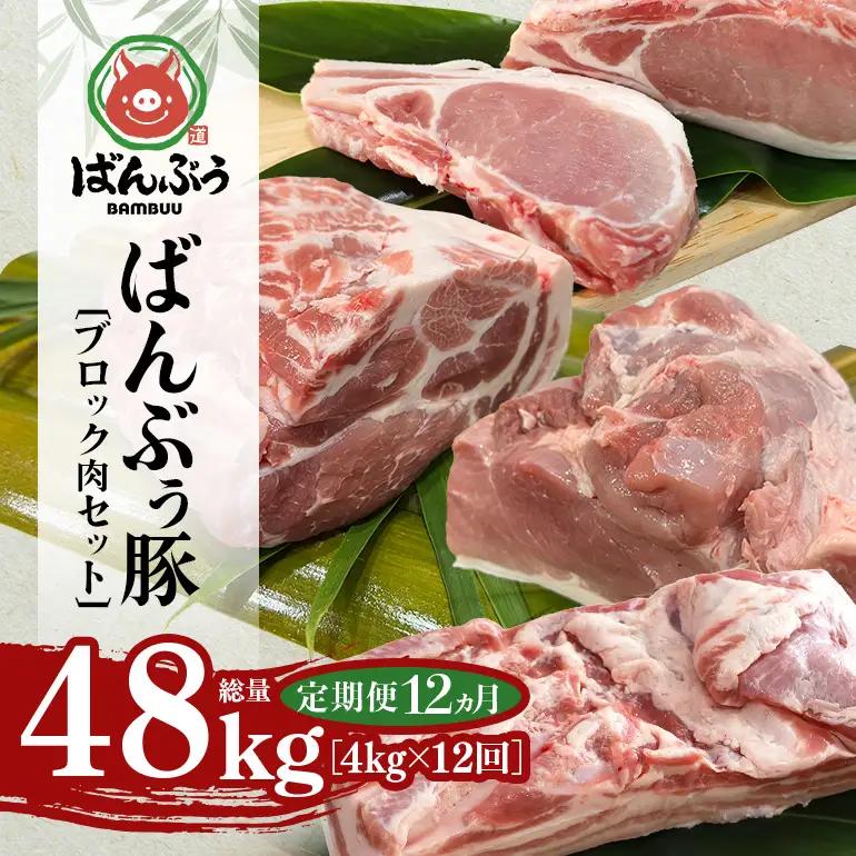【定期便12ヶ月】ブランド豚「ばんぶぅ」ブロック肉セット（計4kg） 42-CE