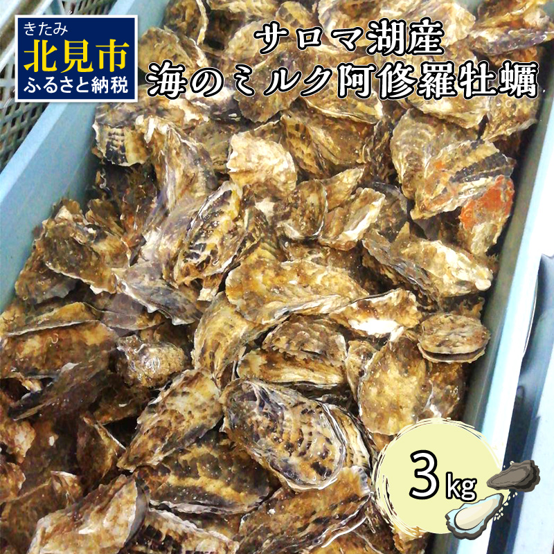 【予約：2024年10月中旬から順次発送】サロマ湖産 海のミルク 阿修羅牡蠣 3kg ( 期間限定 新鮮 生食 カキ かき オホーツク海産 海鮮 魚介類 貝類 生 )【031-0004-2024】