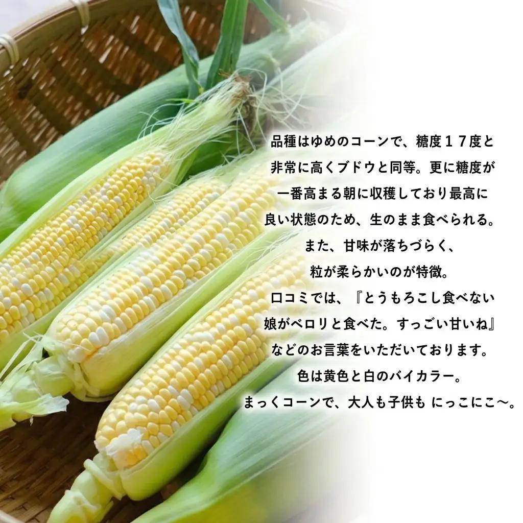とうもろこし 富良野産 まっくコーン 生食 とうもろこし【11本】