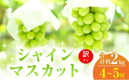 
                  [№5615-0411]訳あり シャインマスカット 4～5房 合計約2kg 岡山県 高梁市産 2026年 先行予約 常温 ぶどう フルーツ 葡萄 ブドウ 皮ごと 産地直送 大粒 爽やか 食べやすい
                