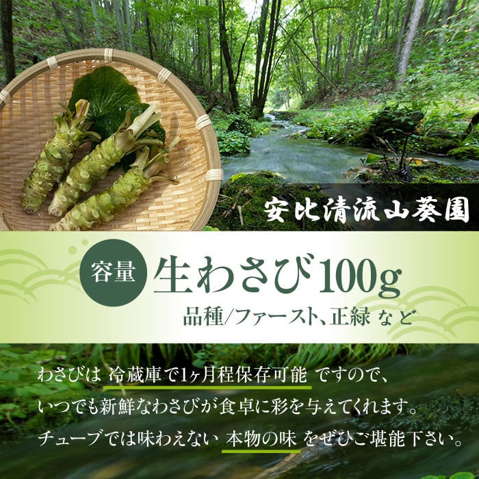 生わさび 100g 【安比清流山葵園】 ／ 山葵 ワサビ 薬味 産地直送 新鮮