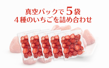 冷凍いちご 5袋詰合せセット｜いちご　イチゴ　苺　冷凍いちご　フローズン　