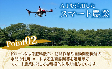 25年10月中旬以降順次発送　玄米  5kg 富山県滑川産「てんこもり」与文のお米 / 産地直送 袋 ブランド米 お米 白米 ご飯 ごはん 富山 滑川市 アグリめぐみ [A-050003]