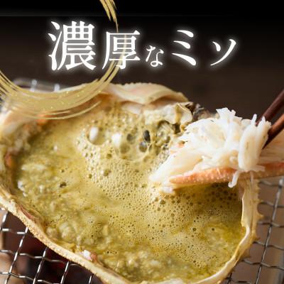 ふるさと納税 若狭町 茹でズワイガニ 国産　約3kg(4‐8杯)脚折れ含む |  | 02