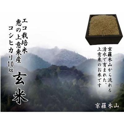 ふるさと納税 松江市 五ツ星お米マイスター厳選【玄米】エコ栽培米 恵の上意東(かみいとう)産「コシヒカリ」10kg