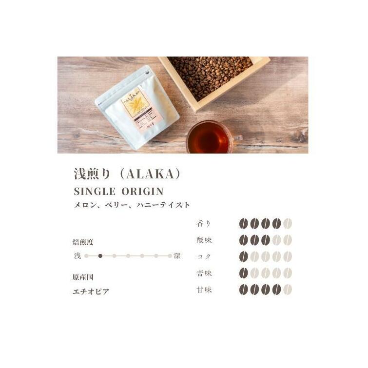 スペシャルティコーヒー焙煎豆 浅煎り 300g 定期便 全12回 12か月【毎月配送 珈琲 COFFEE コーヒー オリジナル キャンプ アウトドア】 G1404