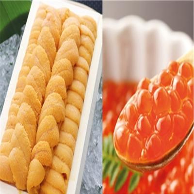 ふるさと納税 根室市 エゾバフンウニ140g×1折、いくら醤油漬(鱒卵)1P[11月下旬以降発送] D-53027