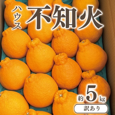 【 先行予約 】 訳あり ハウス不知火 約5kg【2025年1月下旬から3月上旬発送予定】【1520810】