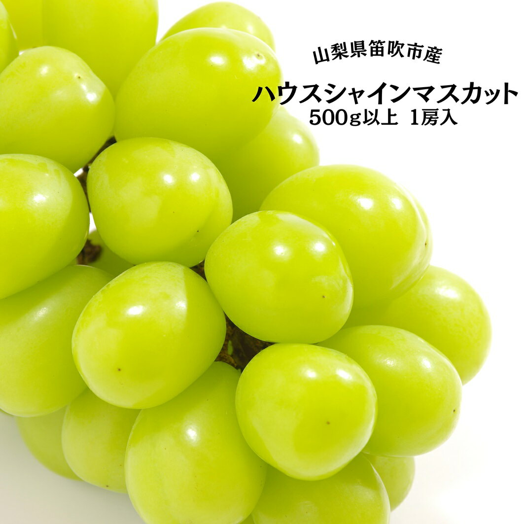 【ふるさと納税】＜25年発送先行予約＞葡萄の一大産地！笛吹市産ハウスシャインマスカット500g以上 ★レビューキャンペーン中（4月〜6月）ふるさと納税 笛吹市 国産 人気 期間限定 旬 果物 フルーツ 山梨県 送料無料 167-008