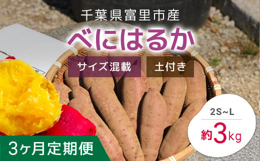 
【2024年11月以降発送】【3か月定期便】千葉県富里市産　べにはるか　3kg　サイズ混載　土付き TMH008
