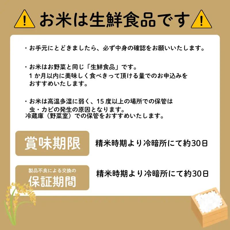 【こしひかり 5kg】令和7年度産 コシヒカリ