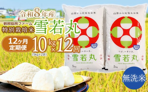 【令和8年産先行予約】 特別栽培米雪若丸　無洗米 10kg (5kg×2袋) ×12ヶ月【定期便】 山形県鶴岡産　鶴岡協同ファーム