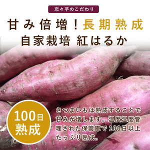 無添加 丹波篠山市産 紅はるか 干し芋 2kg | 兵庫県 丹波篠山市 さつまいも サツマイモ さつま芋 甘い ホクホク 熟成 甘い 柔らか おいしい 美味しい ねっとり 食物繊維 美容 スイーツ 国