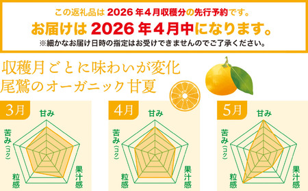 【先行予約 ４月出荷】 おわせの雨夏（あまなつ） 10kg 無農薬 ワックス・防腐剤不使用 木成り 完熟 甘夏 ギフト 贈答 日用 でも使える 三重 尾鷲 の 柑橘 特産品 TK-f-16
