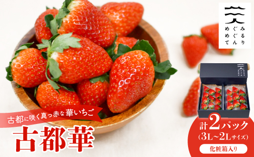 
            古都に咲く真っ赤な華いちご「古都華」(270g以上/3L～2Lサイズ/9～11粒)×2P　化粧箱入り【1102952】
          
