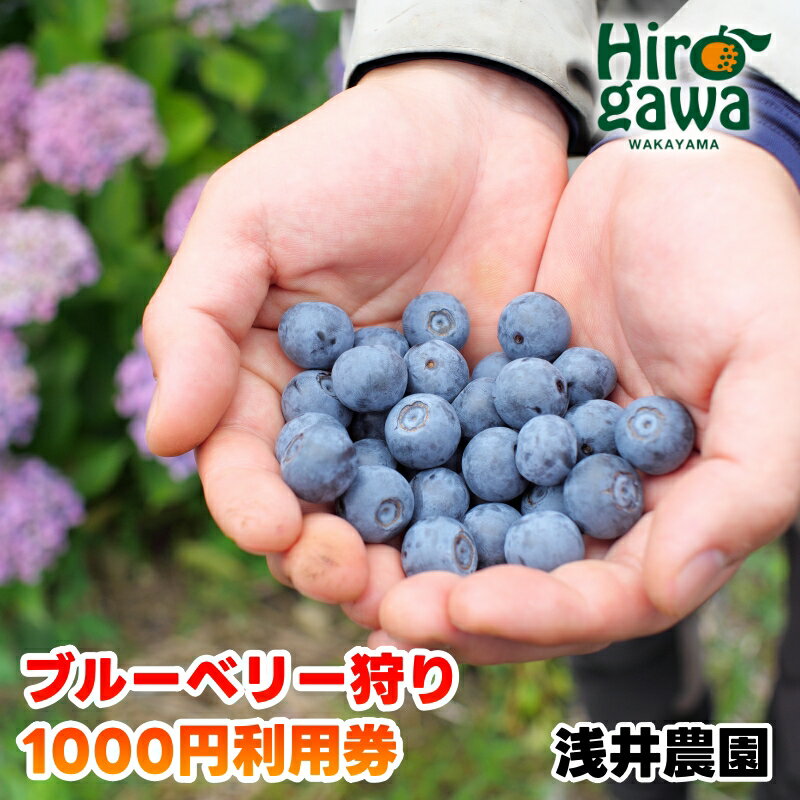 【ふるさと納税】 ブルーベリー 狩り 1000円 利用券 ※6月上旬～7月下旬 開催！ 食べ放題 時間無制限 で約10品種の食べ比べをお楽しみください♪ / ハイブッシュ ラビットアイ ファミリー カップル 女性 におすすめ♪ //ticket