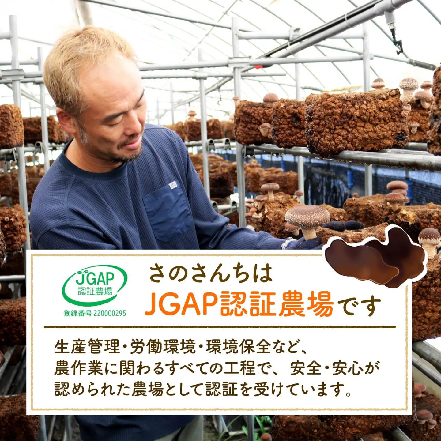 乾燥キクラゲ 100g 25g×4袋 キクラゲ