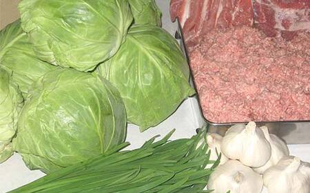 みんみんの餃子120個 （8コ×15パック） 餃子専門店 みんみん みんみん餃子 ギョーザ ぎょうざ ギョウザ 富山 惣菜 おかず 中華 点心 冷凍 冷凍食品 肉加工品 加工品 富山県高岡市 FAD-