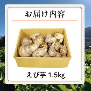  【 海老芋 】エビイモ 1.5kg 1箱 えびいも