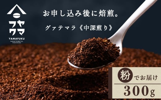 自家焙煎珈琲 グァテマラ　中深煎り（粉） 300g