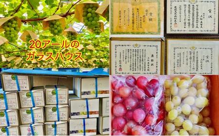 ぶどう 2026年  クイーンニーナ シャインマスカット 秀品 粒だけ 約1kg 農林大臣賞受賞 岡山 国産 果物 フルーツ シャイン マスカット2026年8月上旬から発送