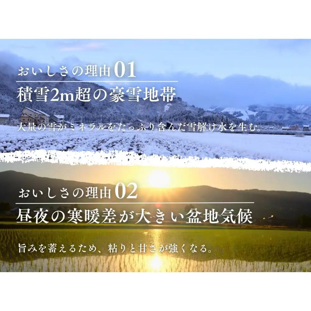 【令和7年度産】【定期便】南魚沼「旧塩沢」限定 コシヒカリ【5kg×6回】白米【定期便 銘柄米 ブランド米 精米 こしひかり コシヒカリ 魚沼産 新潟米 産地直送 お米 米 こめ コメ ご飯 御飯 ご