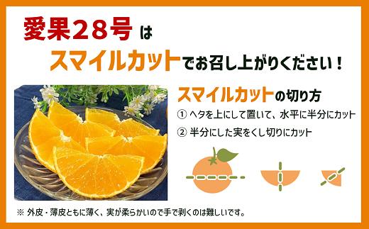 みかん 愛媛 愛果28号 5kg 家庭用 人気 数量限定 先行予約  柑橘 伊予市【2025年11月下旬以降順次発送】｜C120