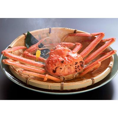 ふるさと納税 鯖江市 【11月6日漁解禁】福井冬の味覚!越前がに 1杯 (1,000〜1,100g)