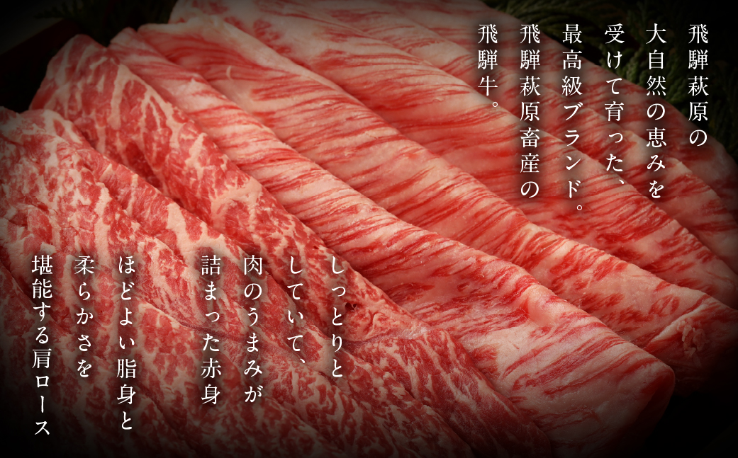 【冷凍】飛騨牛すき焼セット (肩すき焼 200g　ももすき焼 300g) 牛肉 国産 ブランド牛【22-7】