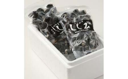 厳選！網走湖産大粒天然大和しじみ2.5kg 【 ふるさと納税 人気 おすすめ ランキング しじみ シジミ 蜆 貝 しじみ貝 シジミ貝 蜆貝 海鮮 ダシ汁 味噌汁 2.5kg 新鮮 冷凍 料理 網走湖 