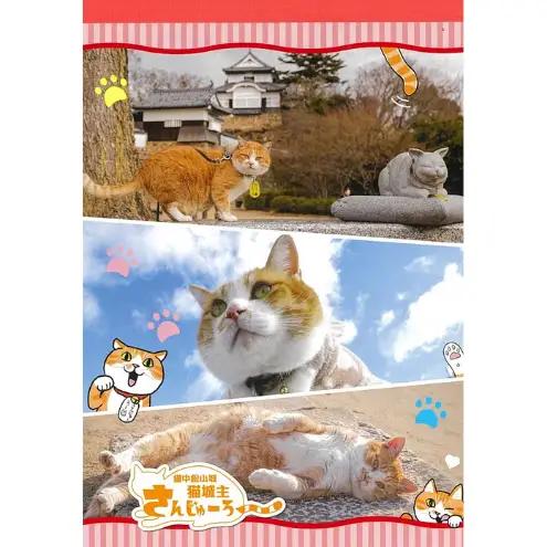 さんじゅーろーグッズセット 雑貨 文房具 小物 詰め合わせ ネコ 実写 猫城主 ポストカード メモ帳 A6 サイズ ピンバッヂ ラバー キーホルダー 