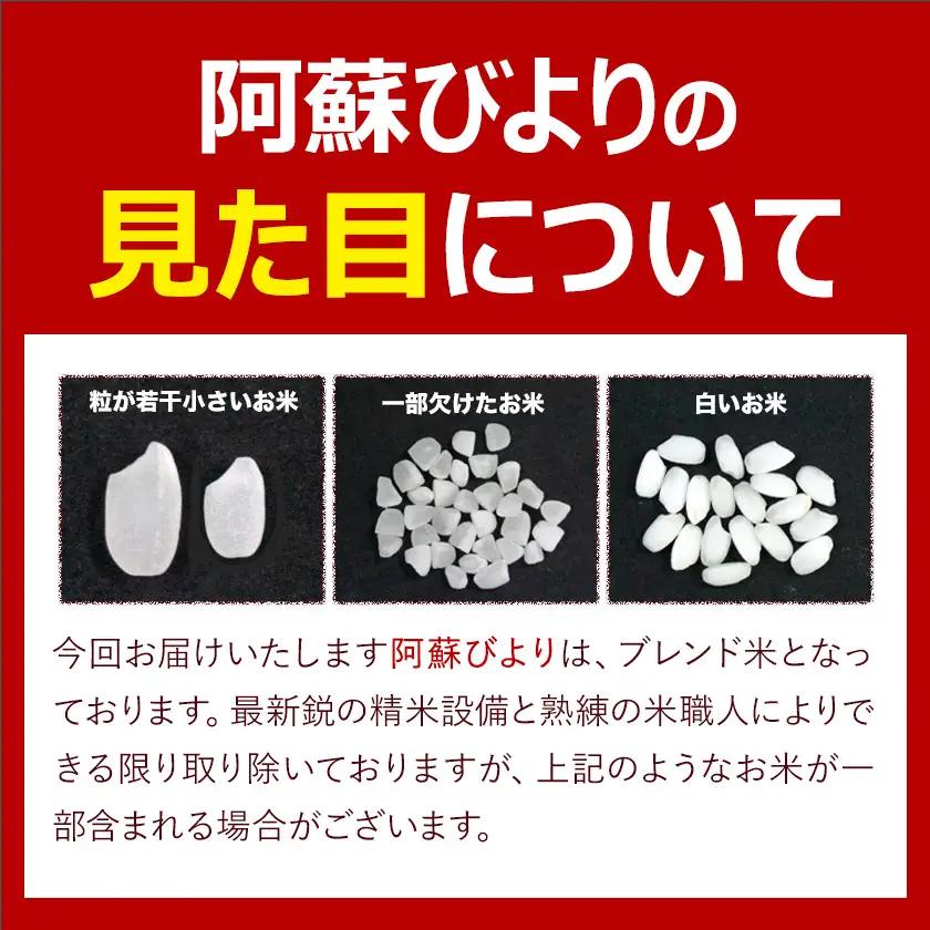 白米 精米 阿蘇びより 5kg 訳あり