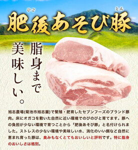 肥後あそび豚 ロースブロック 1kg×2パック 合計 2kg 《30日以内に出荷予定(土日祝除く)》熊本県 菊池市 ぶた ブタ 豚肉 肉 ブランド豚 ロース ブロック 国産 九州産 熊本県産 菊池市産