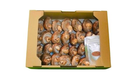 原木生椎茸＋魔法の粉(原木生椎茸＋乾し椎茸パウダー)