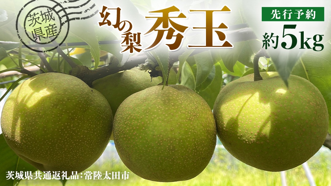 【 先行予約 】茨城県産 『幻の梨』 秀玉 約5kg 11玉～14玉( 茨城県共通返礼品 : 常陸太田市 )【 2025年 8月下旬頃より発送 】 フルーツ 果物 国産 日本産 梨 ナシ なし 和梨 期間限定 数量限定 [EN006us]