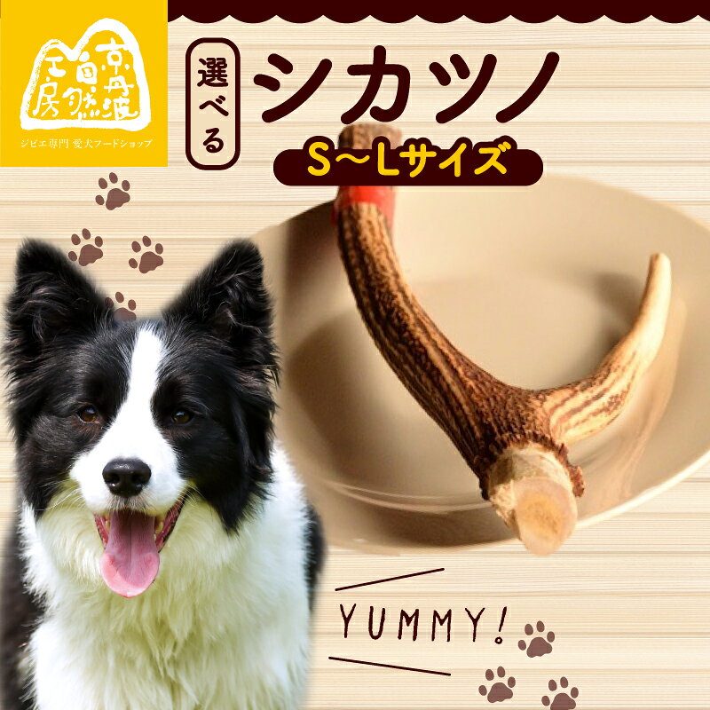【ふるさと納税】 シカツノ 1本 選べる サイズ 鹿の角 鹿角 おもちゃ ペット おすすめ 国産 いぬ イヌ 犬 わんちゃん ワンちゃん 愛犬 犬のおもちゃ 犬用おもちゃ イヌのおもちゃ ペット用品 デンタルケア しつけ いたずら 安心 天然素材 京都 京丹波町