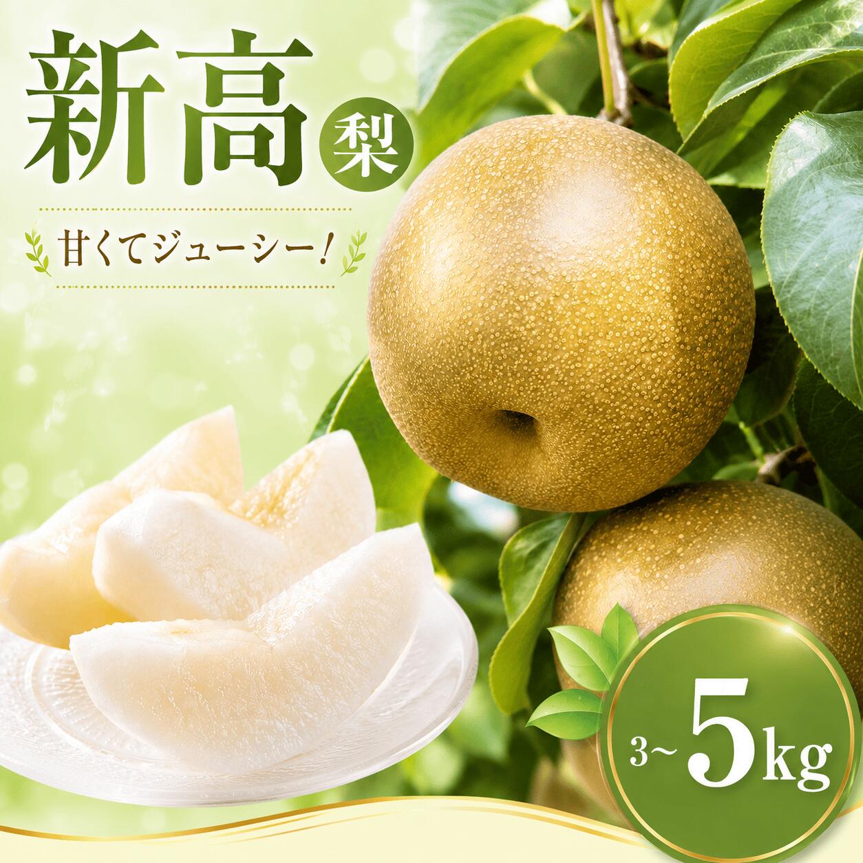 【ふるさと納税】 【先行予約】 梨 新高 5kg なし ナシ 梨 果物 くだもの フルーツ デザート 新鮮 果肉 果汁 fruit nasi ふるうつ ふるーつ 梨 5キロ ナシ フルーツ 旬 にいたか 新高梨 ナシ 甘い みずみずしい 2026年産 特産品 産地直送 農家直送