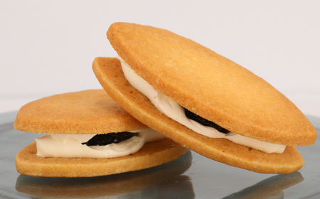 レーズンサンド 10個 ぶどう ブドウ 藤稔のレーズンサンド レーズン 藤稔 葡萄 菓子 洋菓子 焼き菓子 お菓子 おかし スイーツ すいーつ おやつ 美味しい 手作り ドルチェ デザート ギフト プ