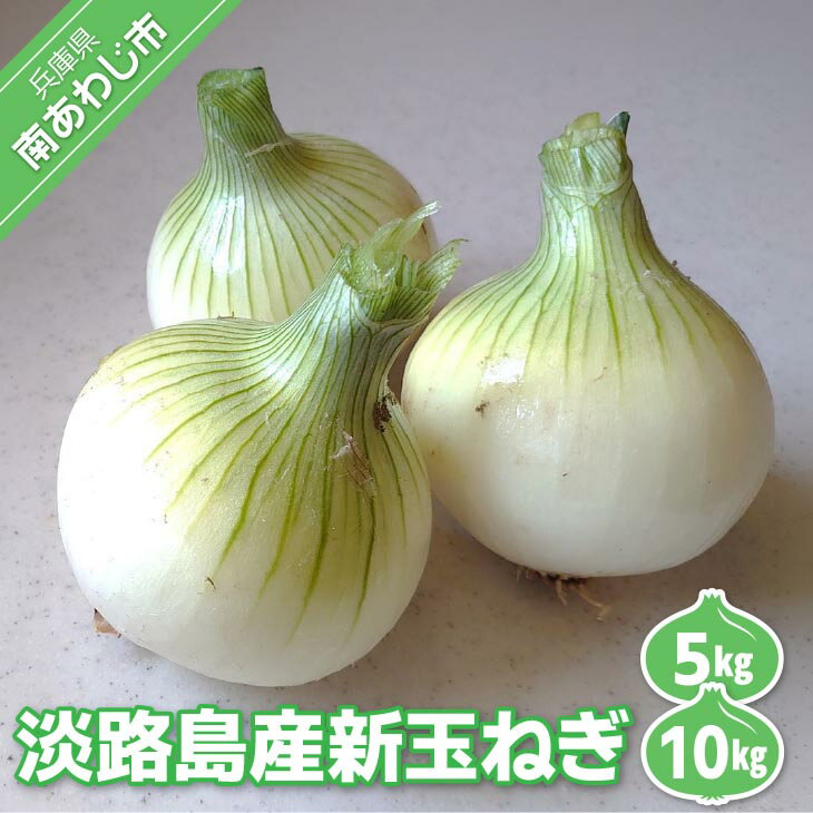 【ふるさと納税】【量が選べる！新玉予約！】淡路島産 新玉ねぎ　◆配送4月末頃〜