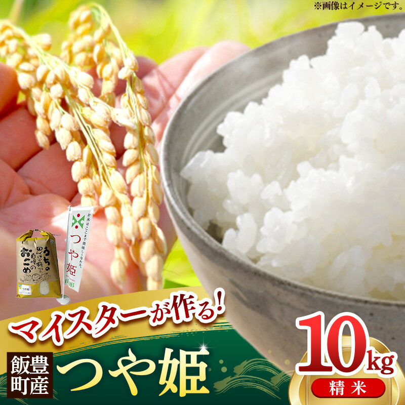【ふるさと納税】マイスターがつくる つや姫 白米 10kg (R7年産） - 山形県 飯豊町産 米 精米 品種 銘柄 ブランド米 ご飯 白米 おすすめ 送料無料 林七【価格改定】