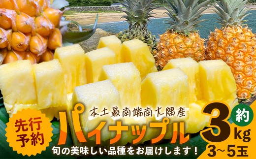 
                  【数量限定！】国産パイナップル　約3ｋg（3～5玉）～なか農園おまかせセット～ NK-001｜パイナップル パイン フルーツ 果物 くだもの 数量限定 産地直送 新鮮 旬 ハワイ種 ピーチパイン ゴールドダイヤモンド ボゴール なか農園 鹿児島県 南大隅 
                