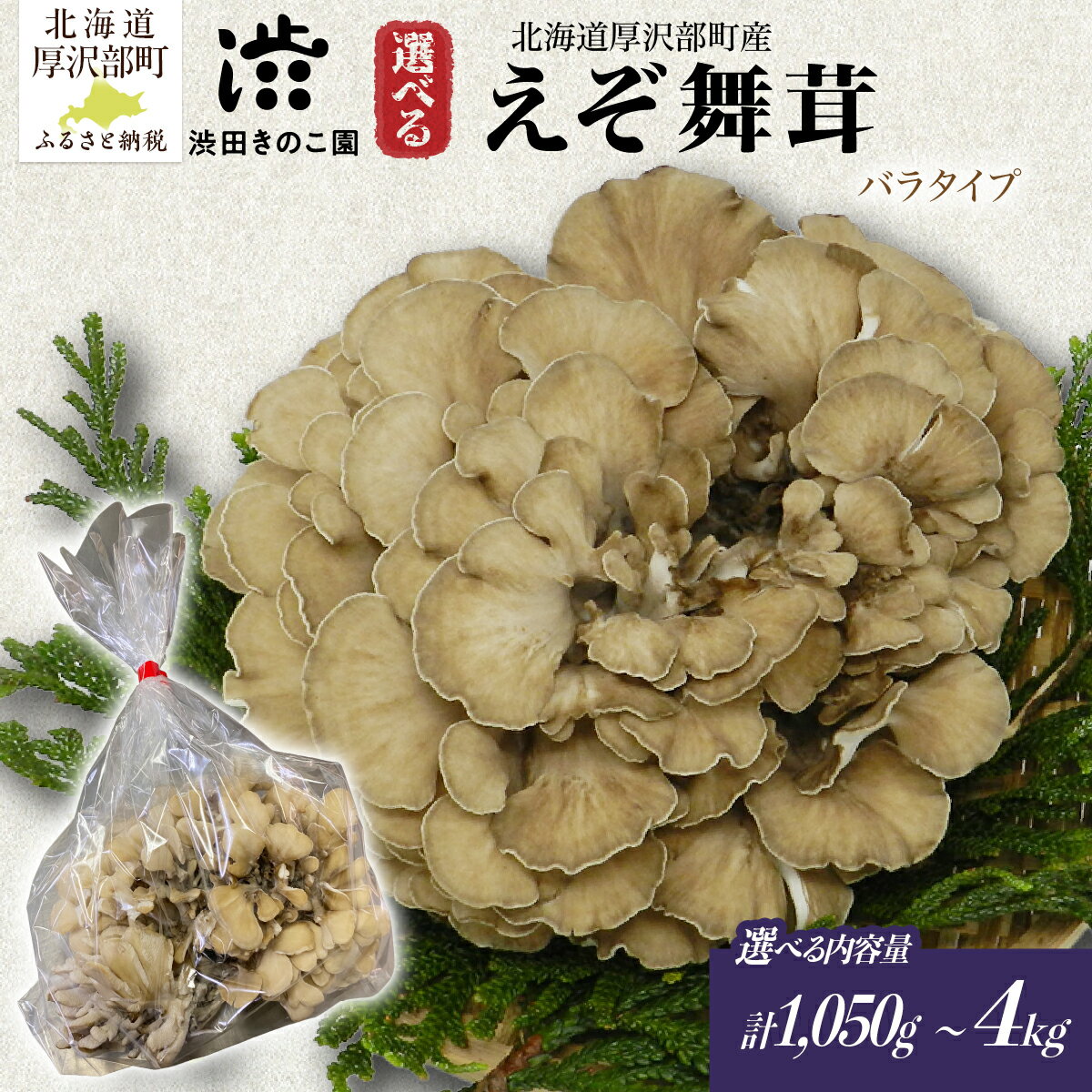 【ふるさと納税】北海道厚沢部町産 舞茸 厚沢部の極みえぞ舞茸 シャキッと肉厚まいたけ 選べる内容量 家庭用バラタイプ 渋田きのこ園 冷蔵 産地直送