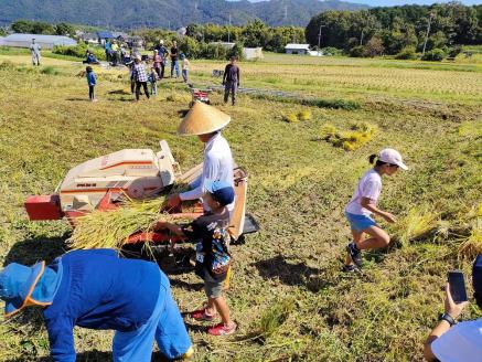 自然栽培米 ヒノヒカリ 玄米 25kg　京都府・亀岡産 令和5年産 栽培期間中農薬不使用  亀岡オーガニックアクションがお届け※離島への配送不可