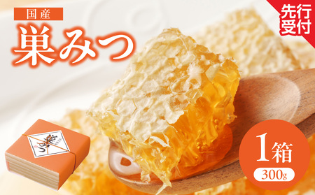 はちみつ 国産 巣みつ 300g ミツバチ 巣 蜂蜜 鮮度 味 栄養 自然 貯蔵 福岡県 八女市 183-004