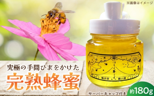 【数量限定20セット】横須賀長沢のテロワール サーバーキャップ付き 季節の百花蜜 約180g 蜂蜜 はちみつ ハチミツ 蜜 国産 非加熱 神奈川 横須賀【横須賀長沢　蜂小屋】 [AKJC001]