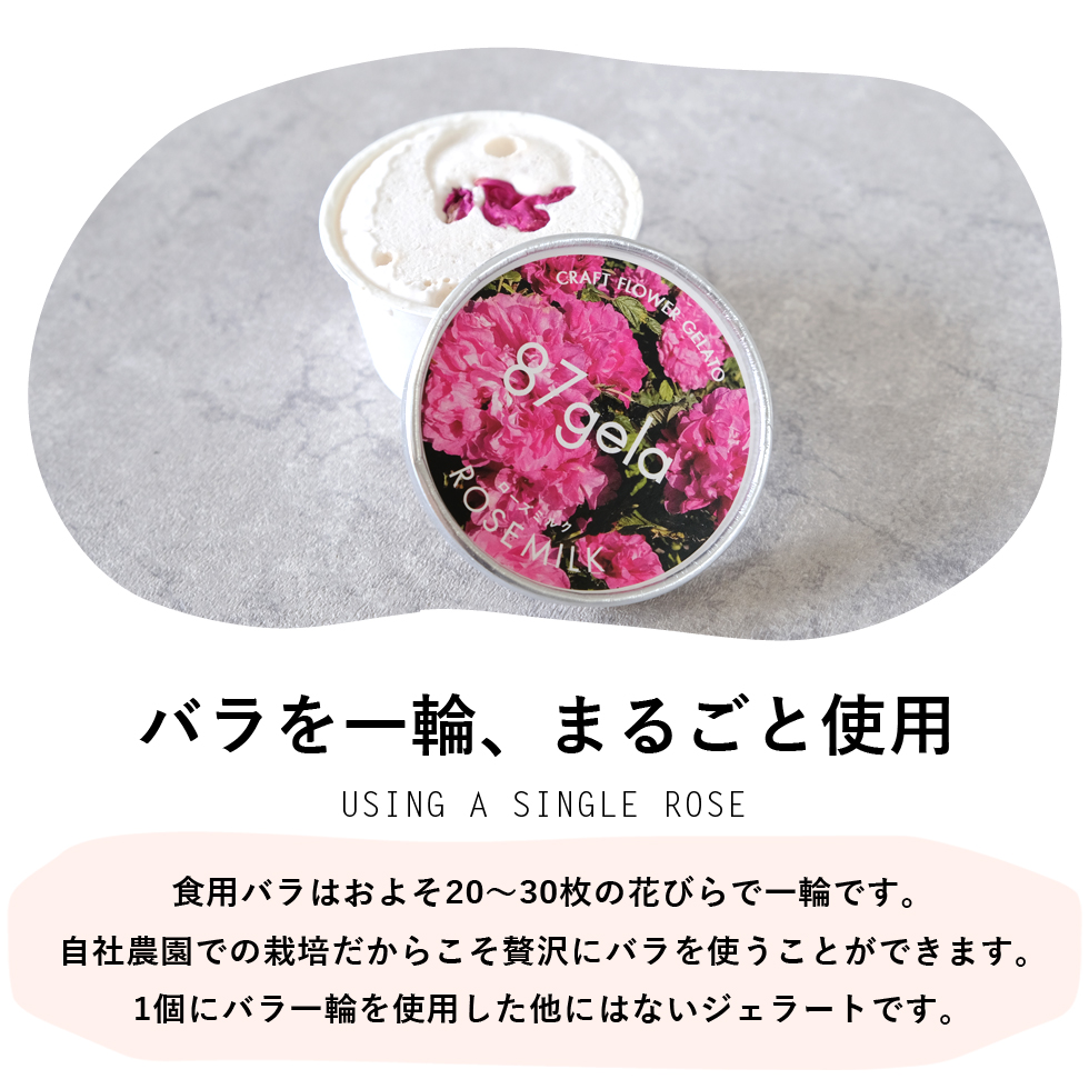 87gela 食べられる薔薇のジェラート おまかせ4個セット 87株式会社 滋賀県 東近江市 O-G13 バラ 薔薇 ジェラート アイス スイーツ デザート ギフト プレゼント 香料無添加 着色料無添