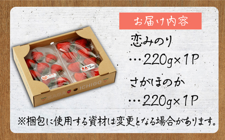 【先行予約】食べ比べ！恋みのり＆さがほのか 各220g 詰め合わせ セット /赤いちご いちご食べ比べ 甘いいちご 化粧箱入りいちご イチゴ 苺  佐賀県産いちご ブランドいちご さがほのか 少ない酸